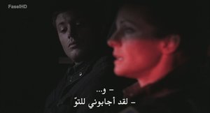 الحلقة 15