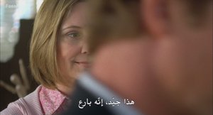 الحلقة 13