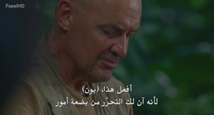 الحلقة 13