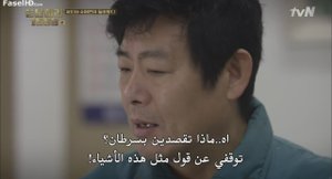الحلقة 13