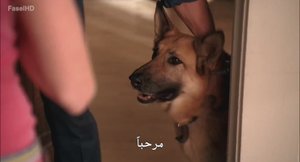 الحلقة 1